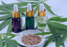 Connecticut Active Medical Marijuana Patients in 2025.png