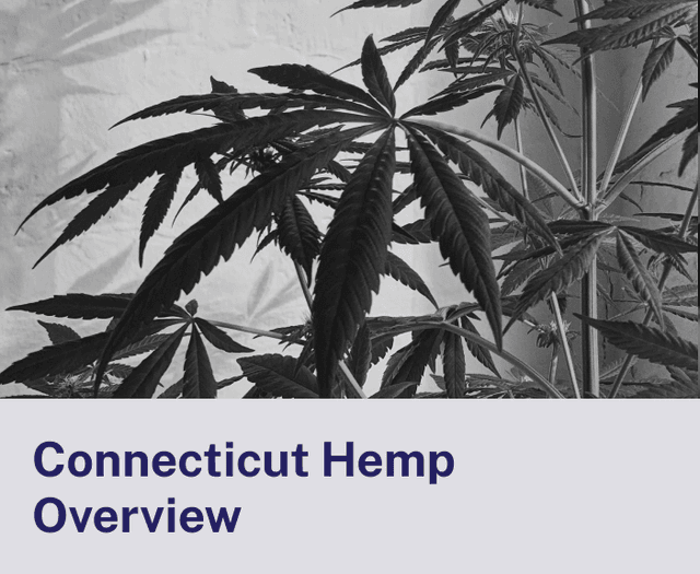 Connecticut Hemp Overview.png